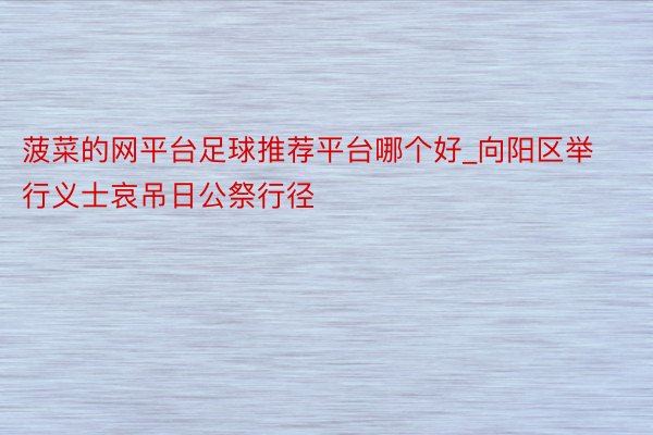 菠菜的网平台足球推荐平台哪个好_向阳区举行义士哀吊日公祭行径